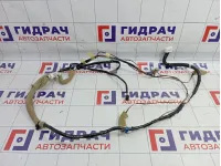 Проводка потолка Infiniti G37 (V36) 24060-1NF0E