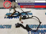 Проводка двери задней правой Infiniti M35 2007 24126EH103 Отличное состояние