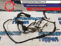 Проводка двери передней левой Infiniti M35 2007 24125EH500 Отличное состояние