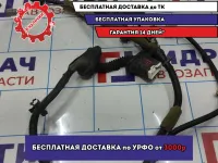 Проводка задней левой двери Infiniti FX-35 (S50) 24126-CG760.