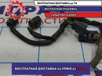 Проводка на катушки правая Infiniti FX-35 (S50) 24079-CD000.