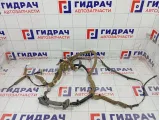 Проводка двери передней правой Infiniti FX35 24124CG010