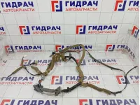 Проводка двери передней правой Infiniti FX35 24124CG010