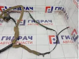 Проводка двери передней правой Infiniti FX35 24124CG010