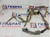 Проводка двери передней правой Infiniti FX35 24124CG010