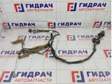 Проводка двери задней Infiniti FX35 24126CG760