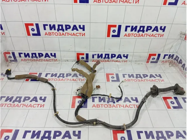 Проводка двери задней Infiniti FX35 24126CG760
