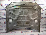 Капот Infiniti FX35 F5100CG0MM