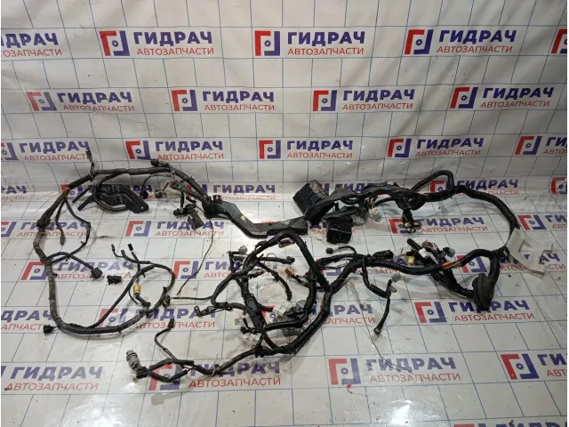 Проводка подкапотная Infiniti FX35 24012CG010