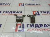 Петли двери задней правой Infiniti FX35