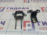Петли двери задней правой Infiniti FX35 (S50)