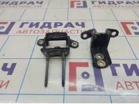 Петли двери задней правой Infiniti FX35 (S50)