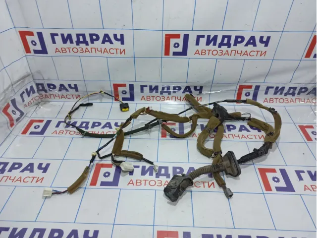 Проводка двери передней правой Infiniti FX35 (S50) 24124-CL71A
