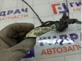 Проводка потолочная Infiniti FX50 240601CA3A