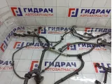 Проводка двигателя Infiniti FX50 240111CA2A