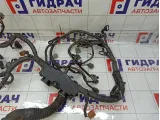 Проводка двигателя Infiniti FX50 240111CA2A