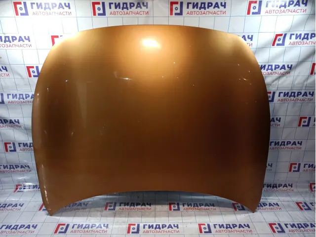 Капот Infiniti FX50 F510M1CAMA