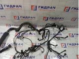 Проводка подкапотная Infiniti FX50 240113EV0A