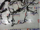Проводка подкапотная Infiniti FX50 240113EV0A