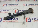 Амортизатор задний задний правый Infiniti FX50 E6A101CF0F
