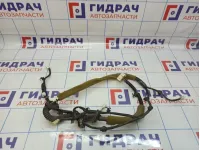 Проводка крышки багажника Infiniti G35 (V36) 24027-JK60B