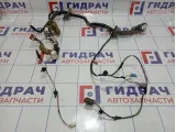 Проводка двери передней левой Infiniti G35 (V36) 24125-JK60C