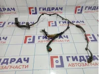 Проводка двери задней правой Infiniti G35 (V36) 24126-JK60B