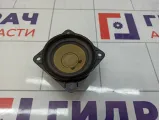 Динамик Infiniti G35 (V36) 28148-JK200