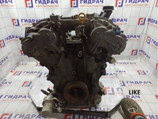 Двигатель Infiniti G35 (V36) 10102-JK6A1