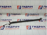 Амортизатор крышки (двери) багажника левый Infiniti JX35/QX60 905603JA0A