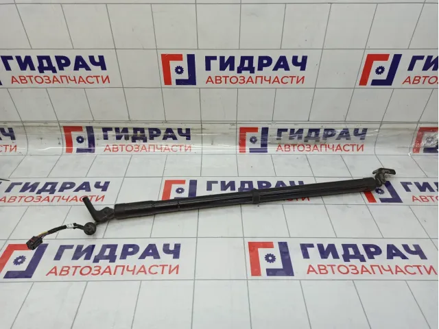 Амортизатор крышки (двери) багажника левый Infiniti JX35/QX60 905603JA0A