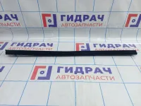 Уплотнитель стекла заднего правого Infiniti M35 (Y50)