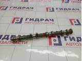 Распредвал впускной левый Infiniti M35 (Y50) 13020-8J106