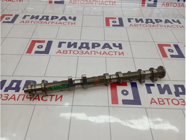 Распредвал впускной левый Infiniti M35 (Y50) 13020-8J106