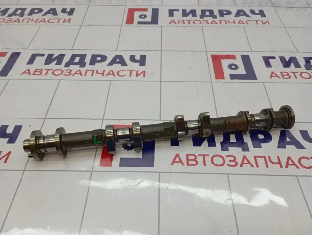 Распредвал выпускной левый Infiniti M35 (Y50) 13020-AL616