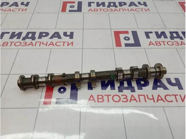 Распредвал выпускной правый Infiniti M35 (Y50) 13020-AL611