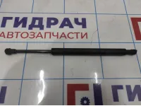 Амортизатор крышки багажника Infiniti M35 (Y50) 84430-EJ20A