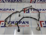 Проводка крышки багажника Infiniti M35 (Y50) 24025-EJ20A