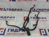 Проводка форсунок Infiniti M35 (Y50) 24079-CD000