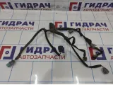 Проводка форсунок Infiniti M35 (Y50) 24079-CD000