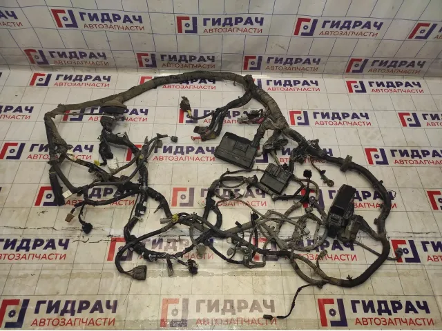 Проводка подкапотная Infiniti M35 (Y50) 24012-EJ20A