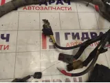 Проводка подкапотная Infiniti M35 (Y50) 24012-EJ20A