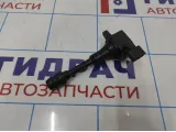 Катушка зажигания Infiniti M35 (Y50) 22448-AL61C