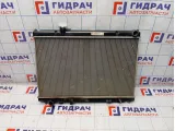 Радиатор охлаждения Infiniti M35 (Y50) 21460EJ20A