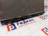 Радиатор охлаждения Infiniti M35 (Y50) 21460EJ20A