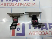 Петли двери задней правой Infiniti M35 (Y50)