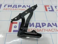 Петля крышки багажника левая Infiniti M35 (Y50) 84401-EG000