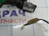 Проводка двери передней правой Infiniti M35 (Y50) 24124-EH103
