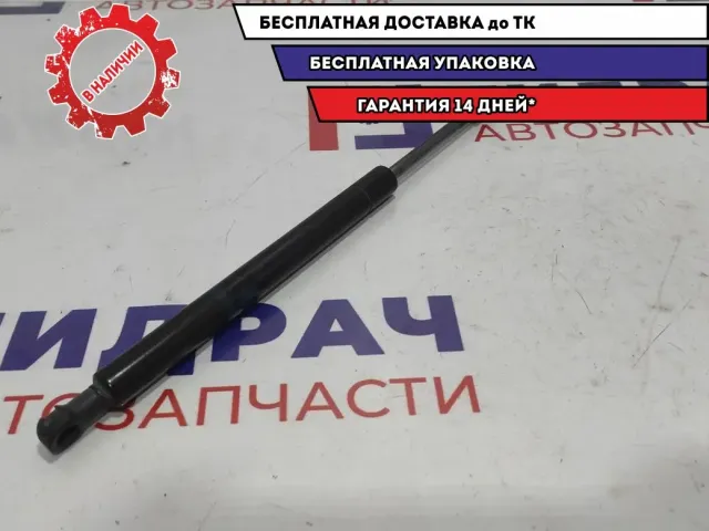 Амортизатор крышки багажника Infiniti M35 84430EJ20A.