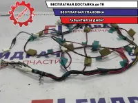 Проводка потолочная Infiniti M35 24068EH10A.